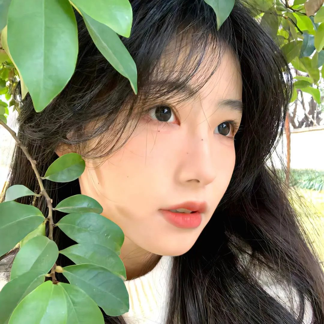 神探小红帽